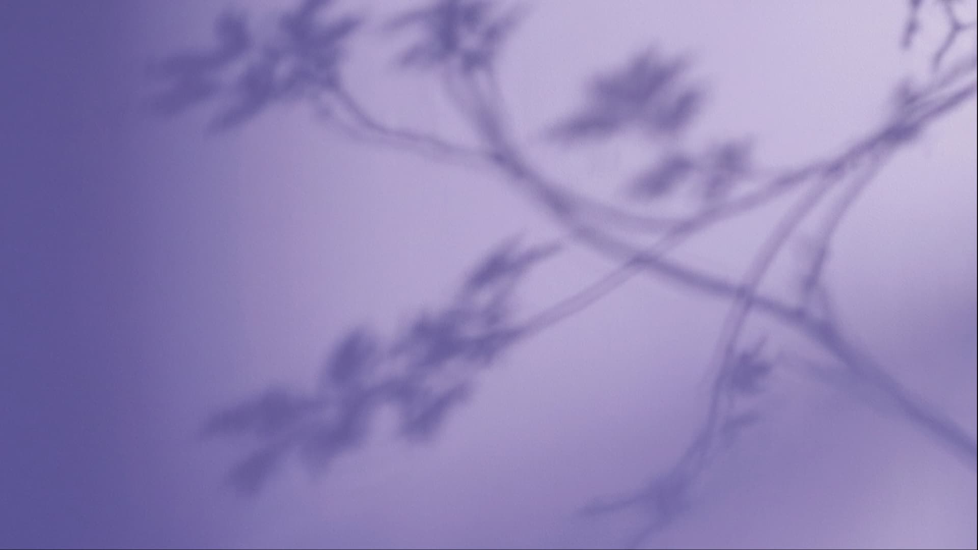 React Navigation v8 Cheat Sheet