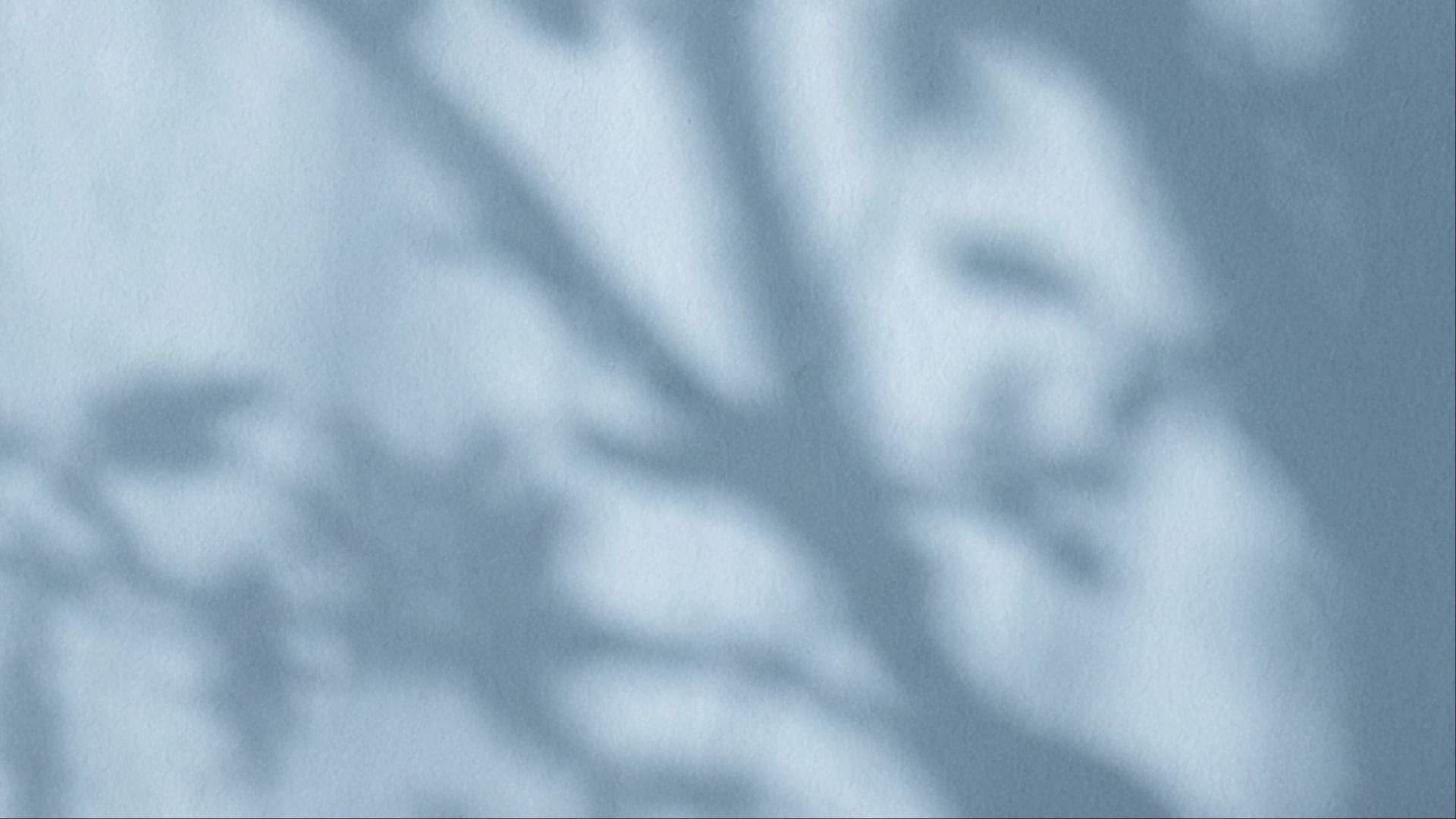 Introducing Code with Beto Skills